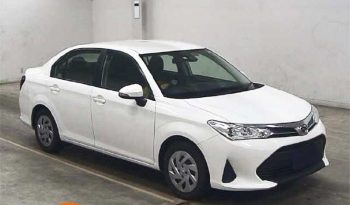 Toyota Axio (New shape)