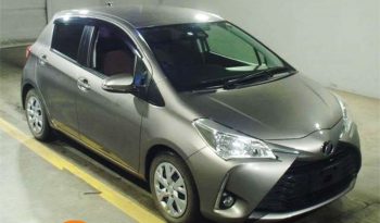 Toyota Vitz U (Non-Hybrid)