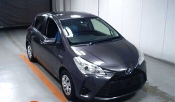 Toyota Vitz (F) (Hybrid)