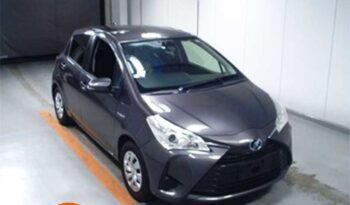 Toyota Vitz (F) (Hybrid)