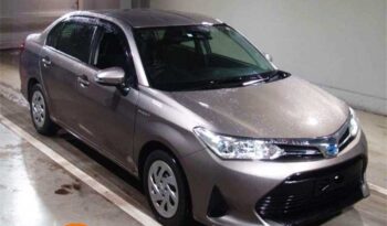 Toyota Axio (Hybrid) G