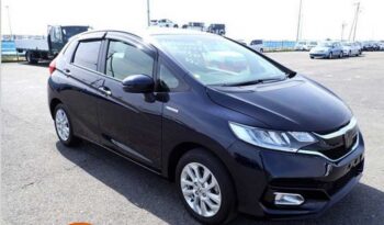 Honda Fit(Hybrid) L (Sensing)