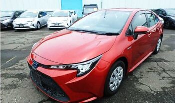 Toyota Corolla (Hybrid)