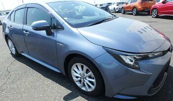 Toyota Corolla (Hybrid)