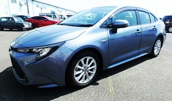 Toyota Corolla (Hybrid) full