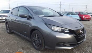 Nissan Leaf (X)