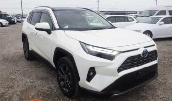 Toyota Rav4 (G) Hybrid full
