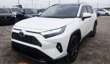 Toyota Rav4 (G) Hybrid