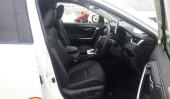 Toyota Rav4 (G) Hybrid full